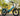 Lectric XP4 750 Step-Thru Raindrop Blue Electric Bike