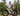 Lectric XPeak Step-Thru 2.0 Long-Range Electric Bike